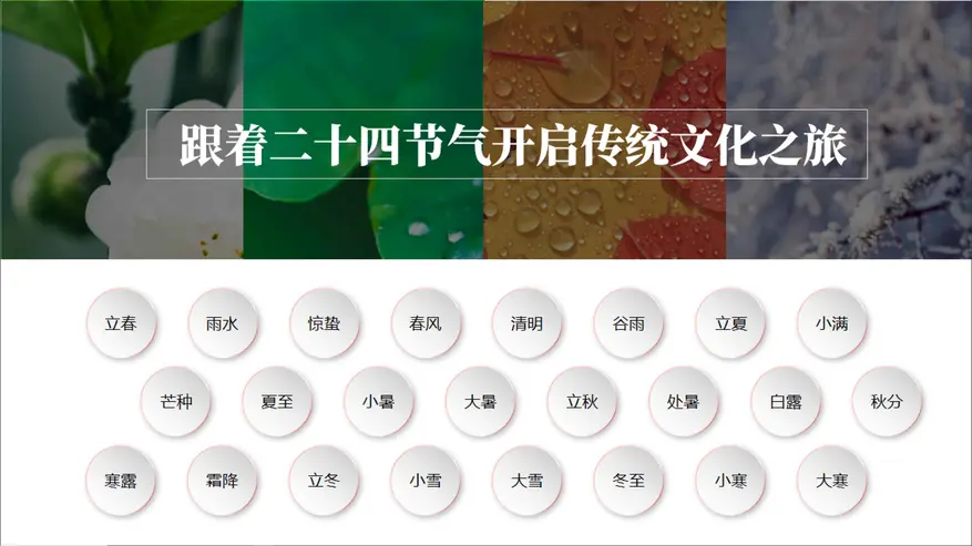 右侧内容图片